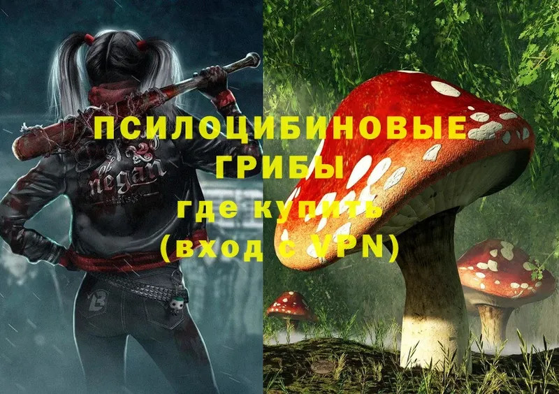 закладка  Тобольск  Псилоцибиновые грибы Cubensis 